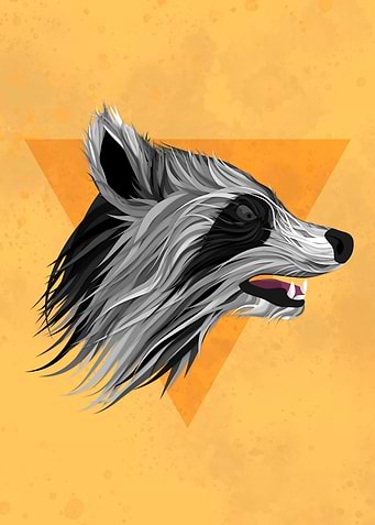 Racoon illustration