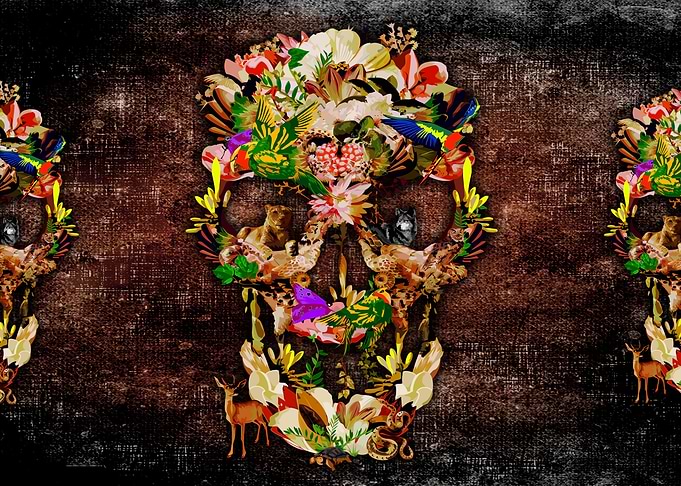 Animal Skull Kingdom