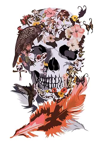 Bird Skull