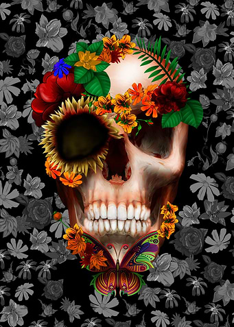 Butterfly and Skull
