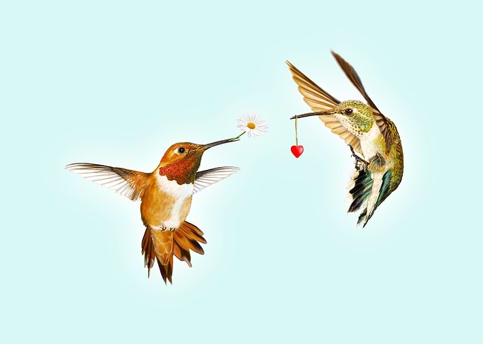 Humming Together