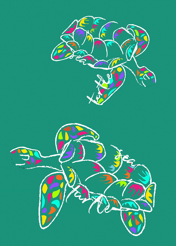 Sea Turtles