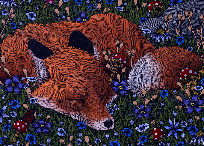 The blue flower garden
