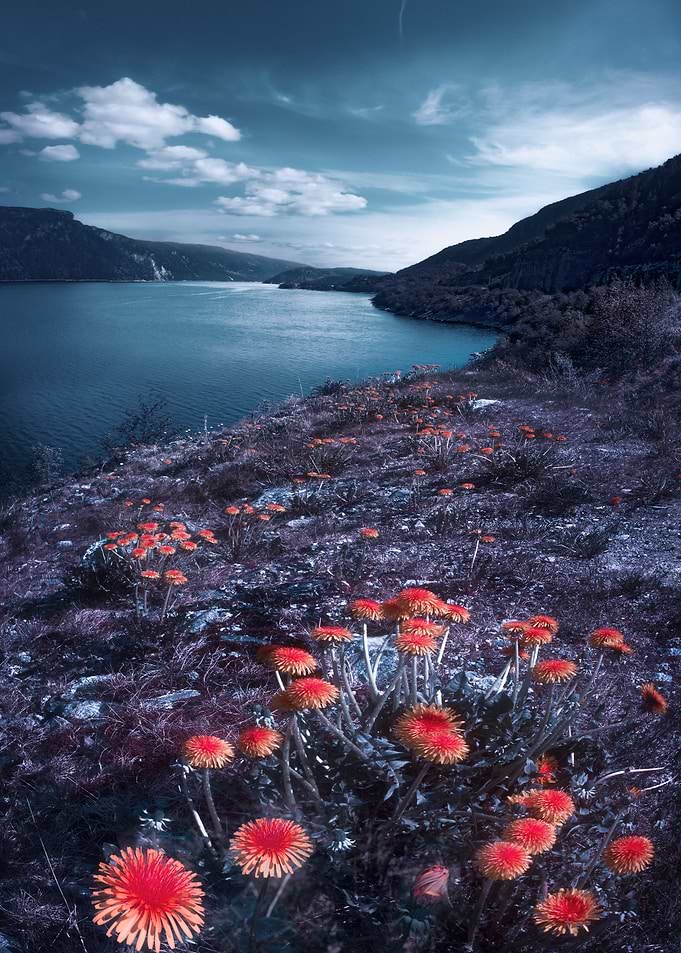 Norwegian landscape