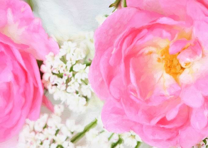 rose