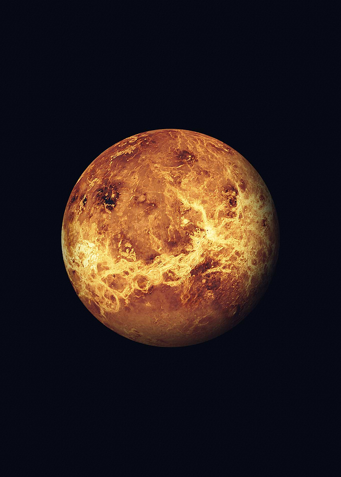 The Venus
