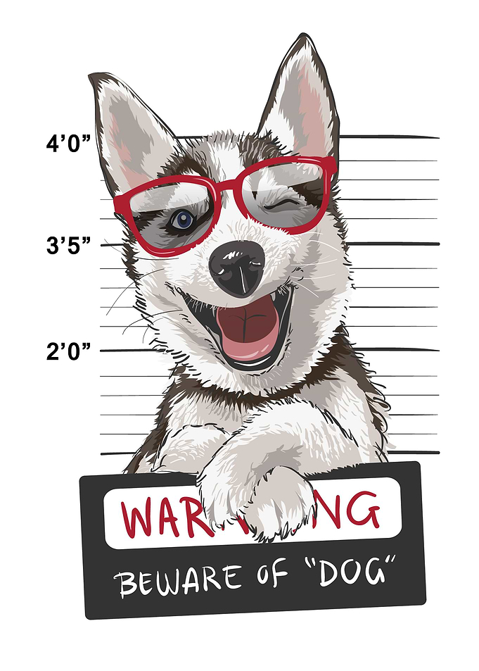 Husky Wanted