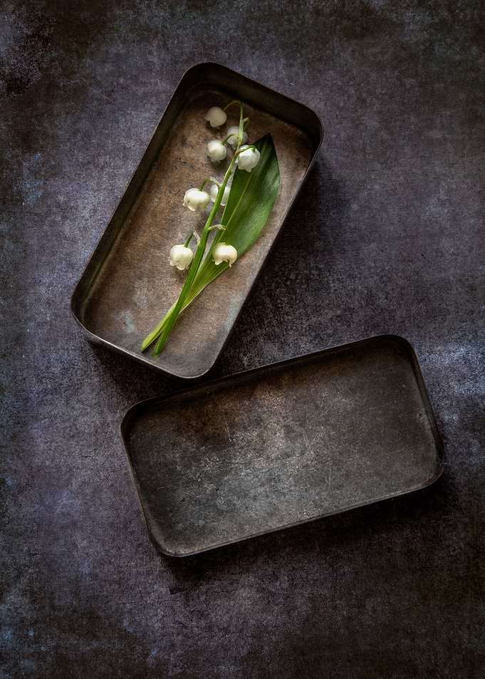 Lily of the valley