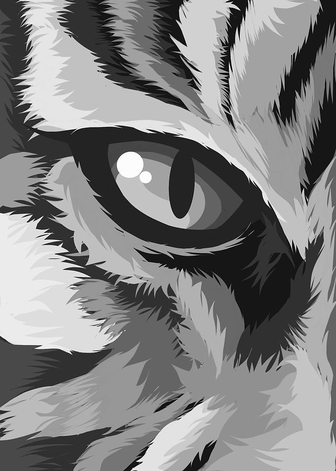 Tiger Pop Art Grayscale
