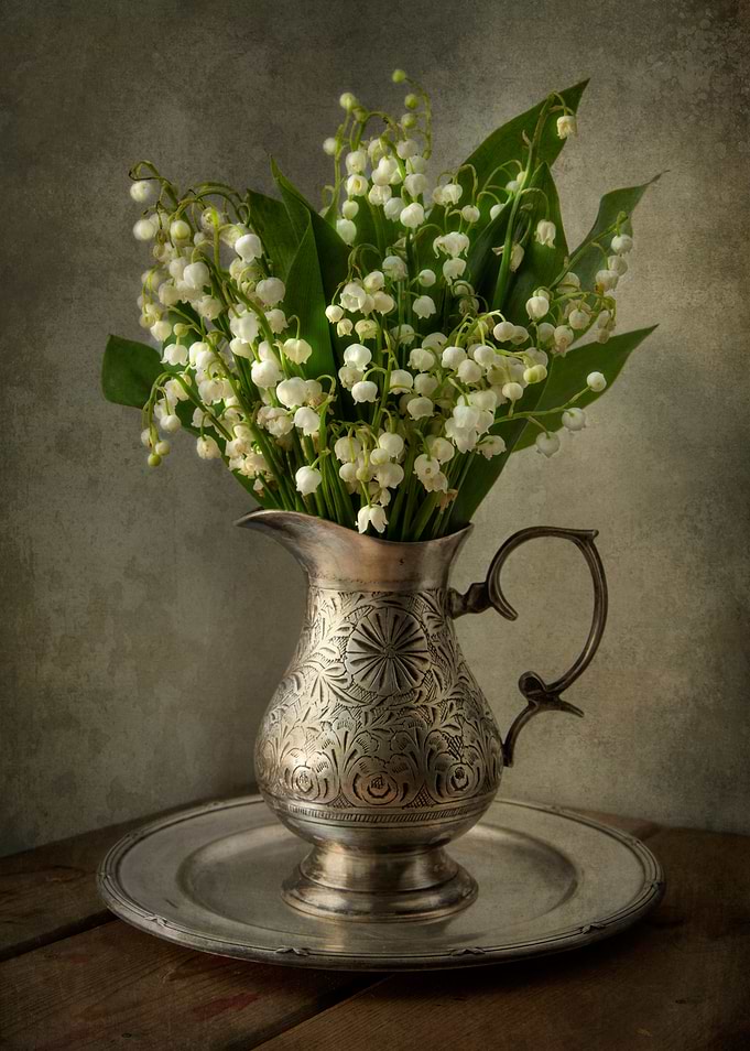 Fresh lily of the valley