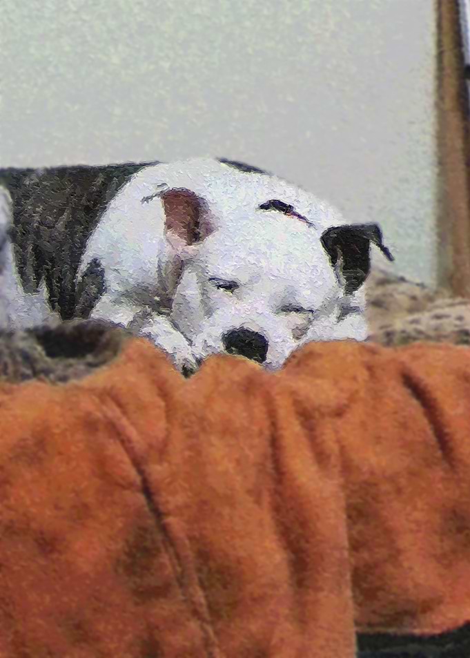 Sleeping