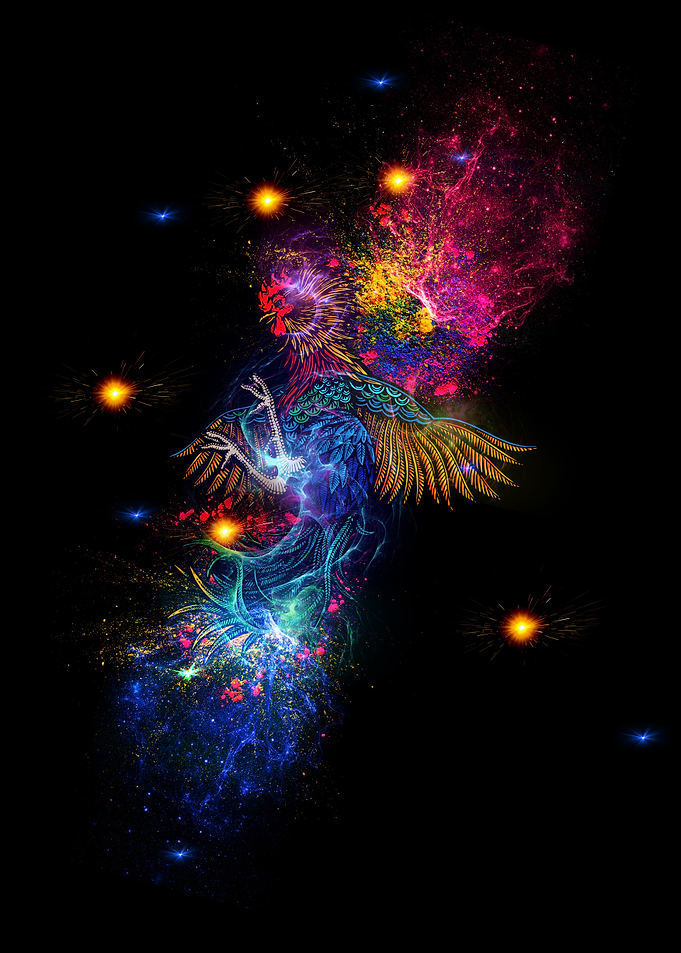 The Mysterious Rooster
