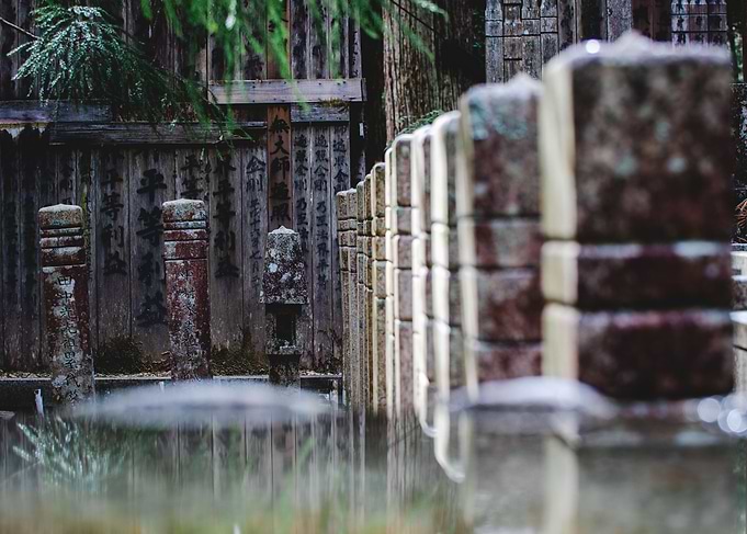 Kyoto Shrines