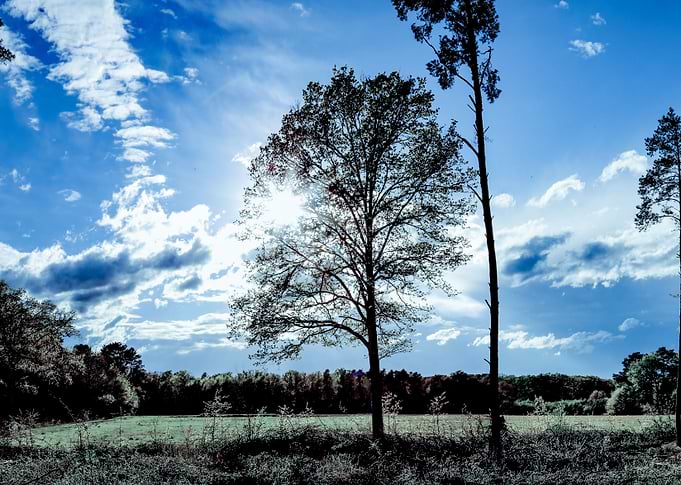 Winter Sky
