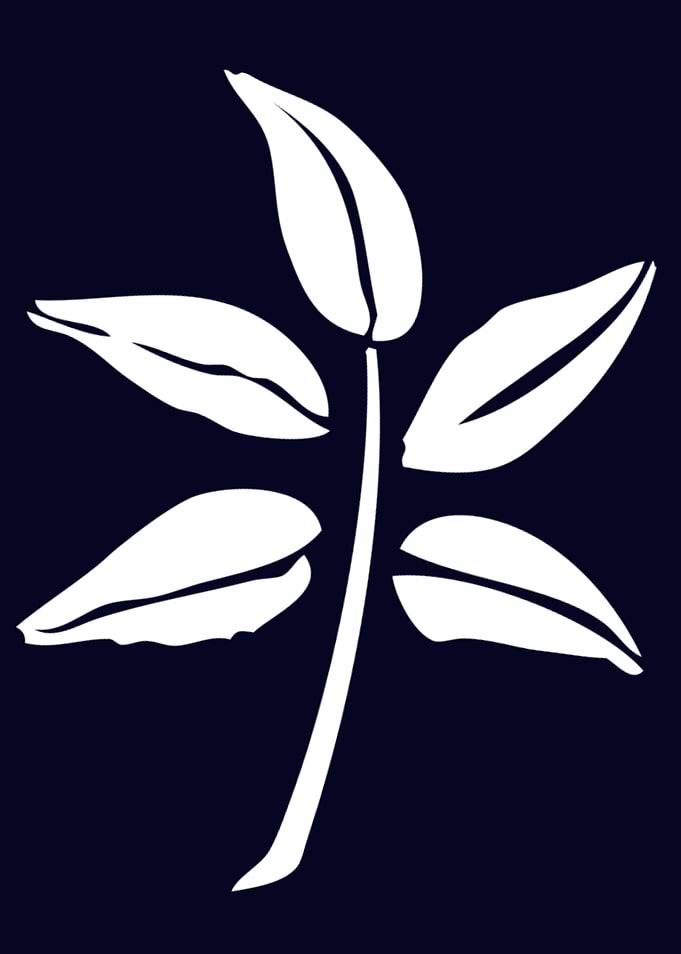 NAVY LEAF