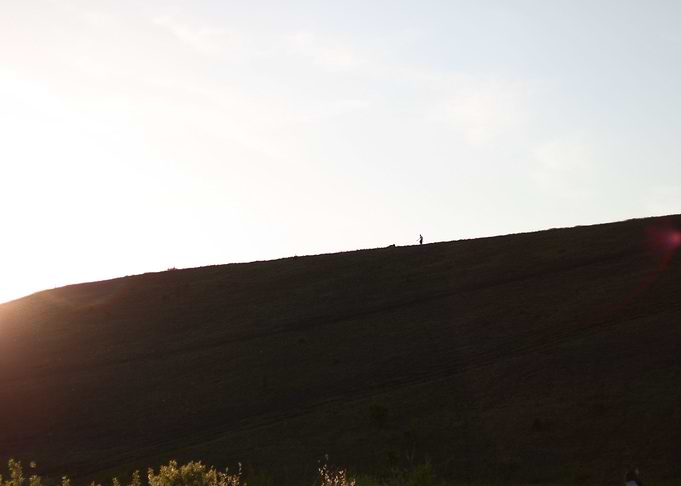 Walking the dog