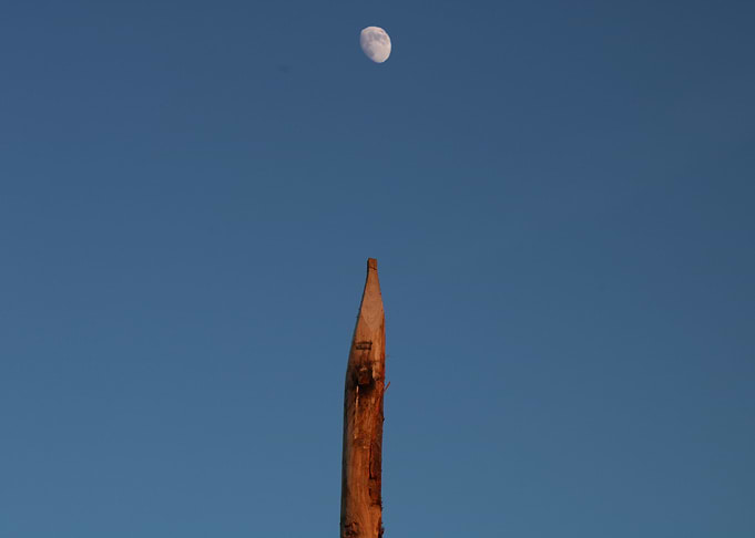 Moonshot