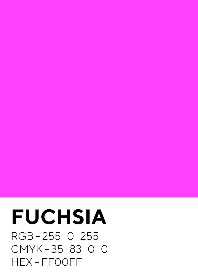 Fuchsia Color