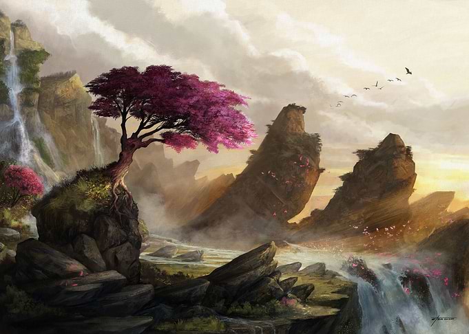 Blossom Sunset