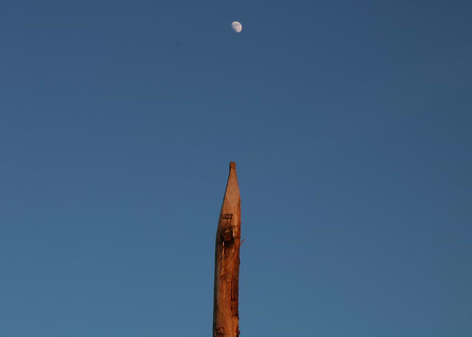 Moonshot 2