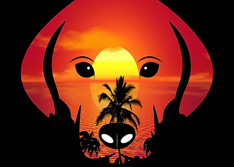 Puppy I Tropical
