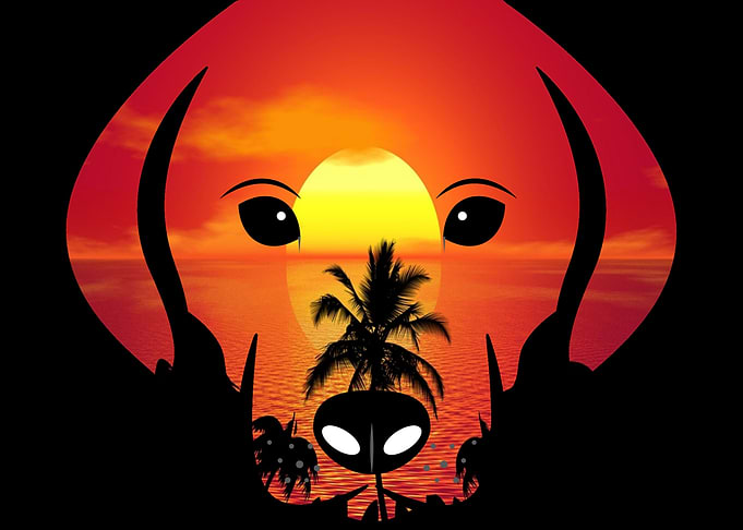 Puppy I Tropical