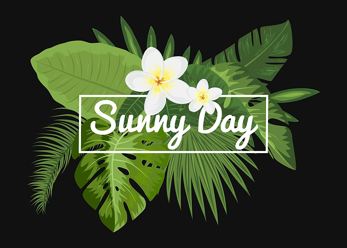 Sunny Day