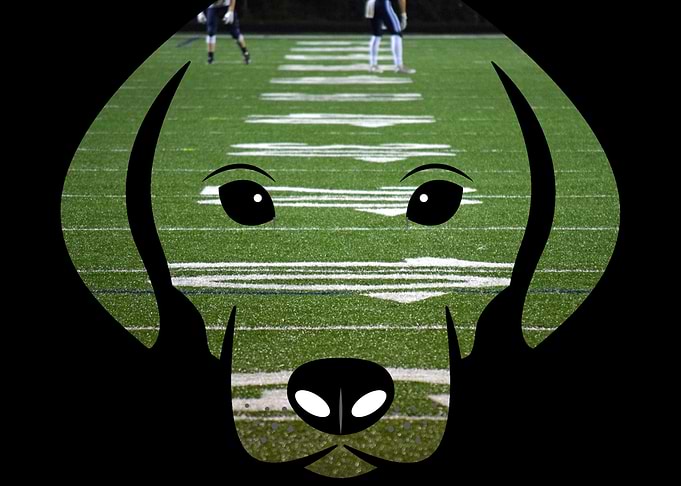 Puppy I Football Field