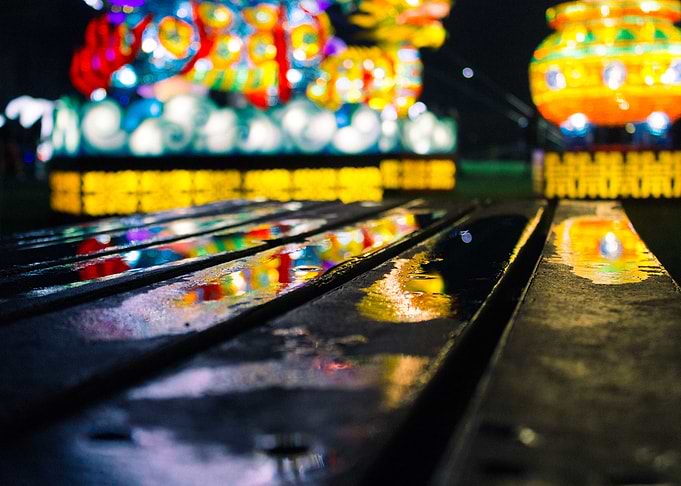 Wild Lights