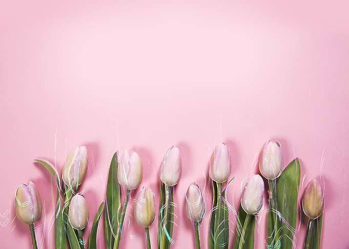 Talking Tulips
