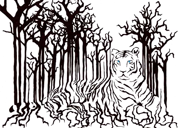 Tiger Tiger