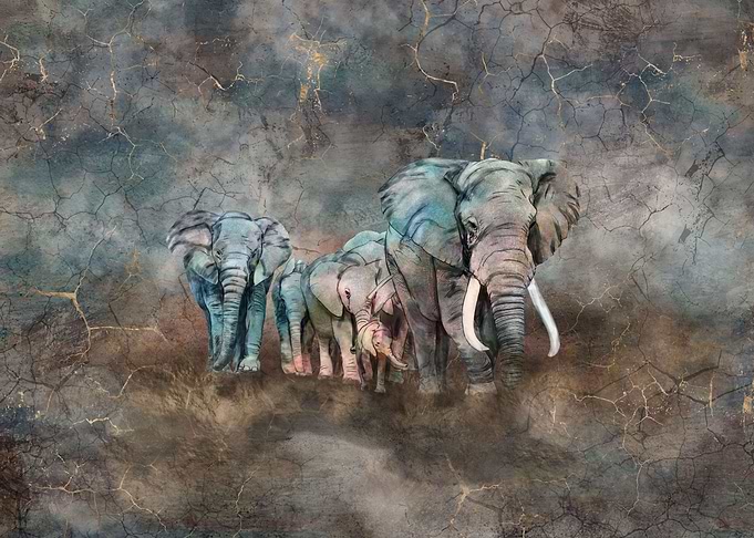 Elephant herd Digital Art