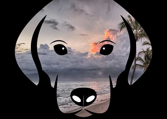 Puppy I Cloudy Beach