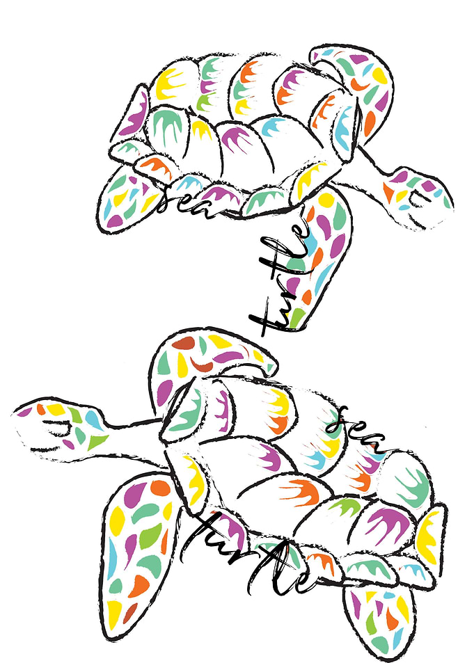 Party Turtles