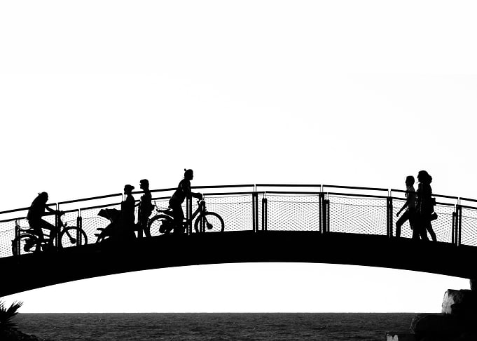 The bridge