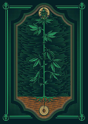 Natural Vibrations