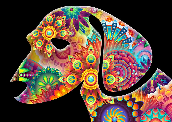 Puppy II Psychedelic