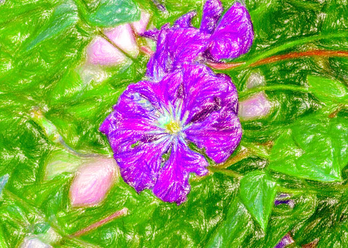 Flower 2