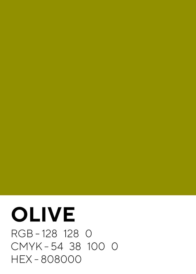 Olive Color