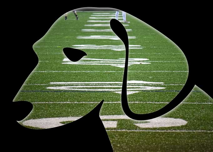 Puppy II Football Field