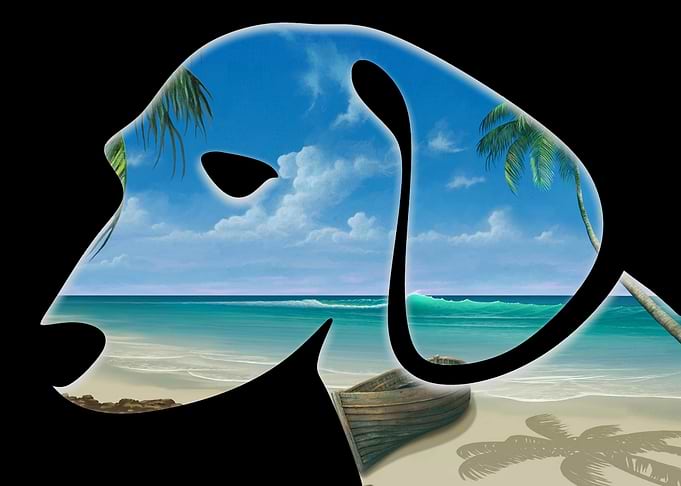Puppy II Paradise