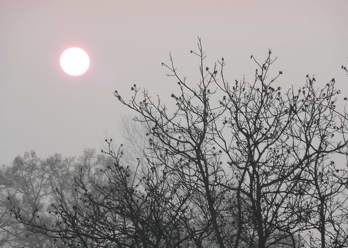 Morning fog and sun