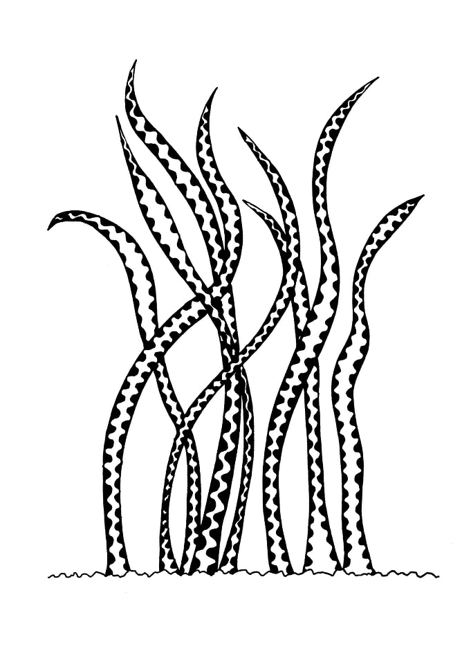 Wavy Plant