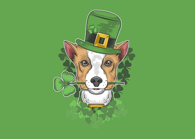 St patricks day cute dog