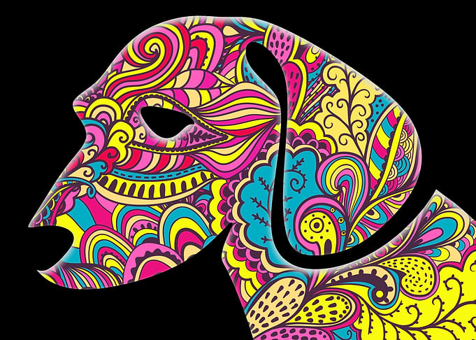 Puppy II Psychedelic II