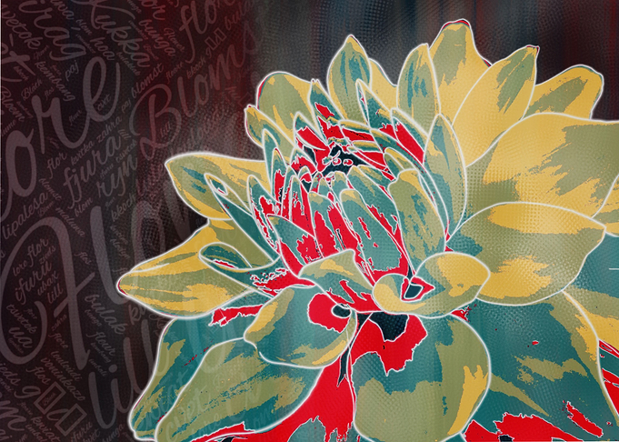 Flower 1 Dahlia 1