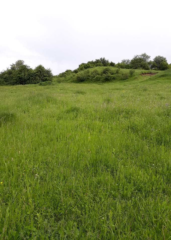 Hill fragment