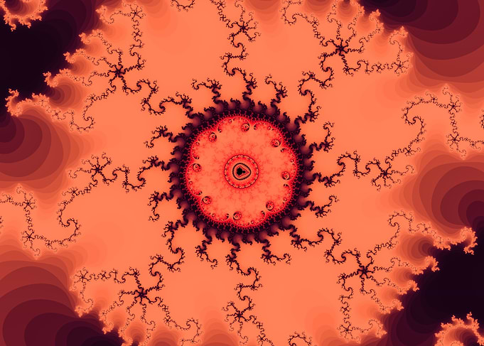 Psychedelics 14