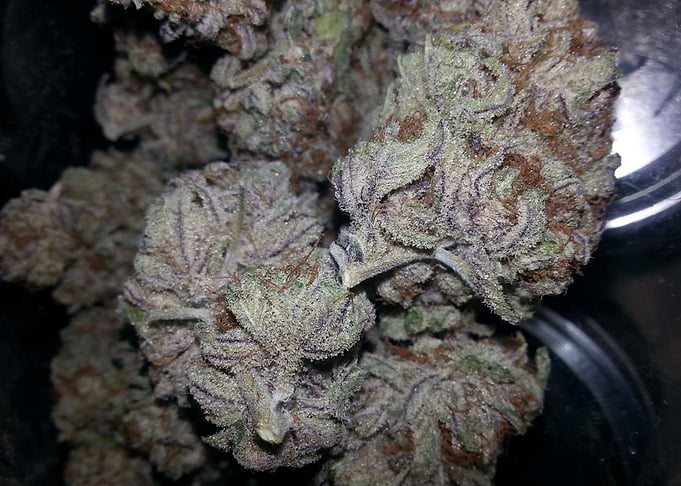 Black Cherry Soda
