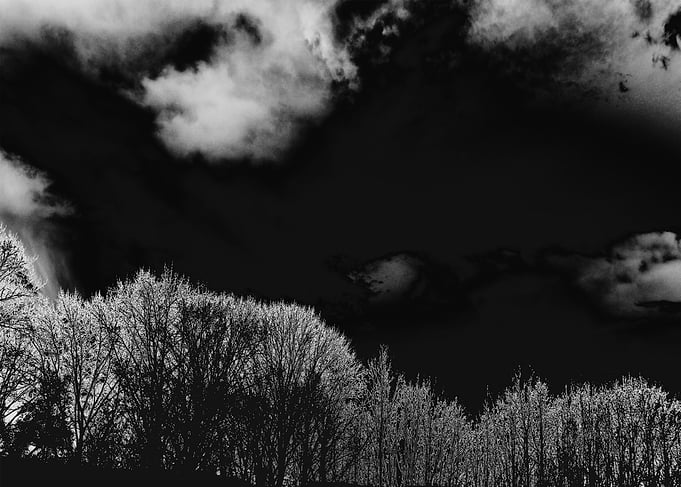 A night in nature